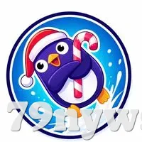 安全登录器
